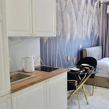 Art Warszawska 21 Katowice