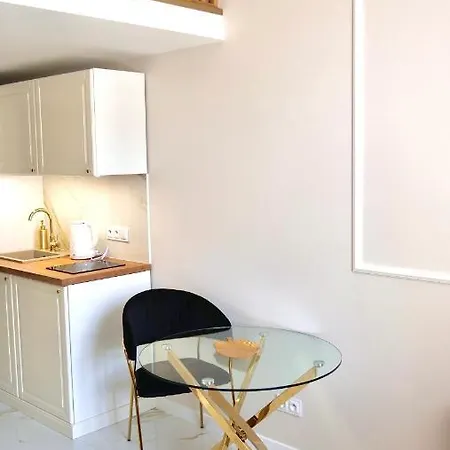 Apartman Art Warszawska 21 *