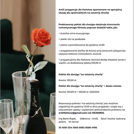 Art Warszawska 21 Daire Katoviçe