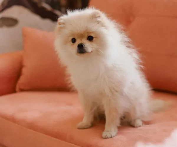 Apartamento Art Warszawska 21 Katowice